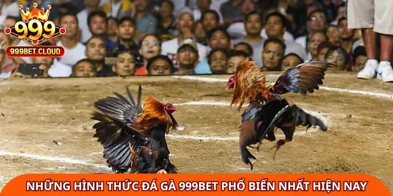 nhung-hinh-thuc-da-ga-999bet-pho-bien-nhat-hien-nay