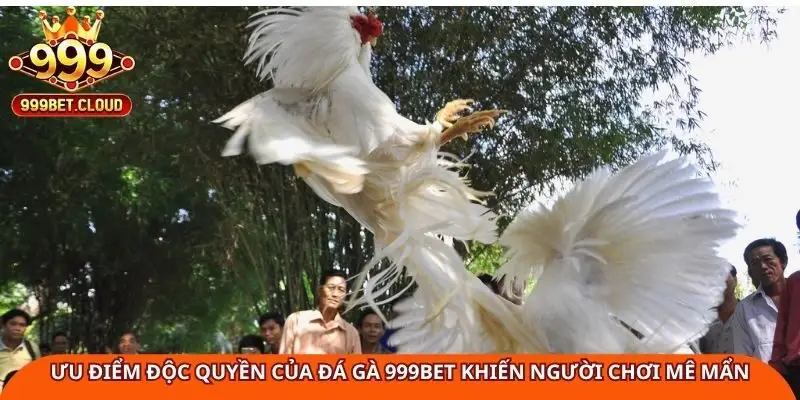 uu-diem-doc-quyen-cua-da-ga-999bet-khien-nguoi-choi-me-man