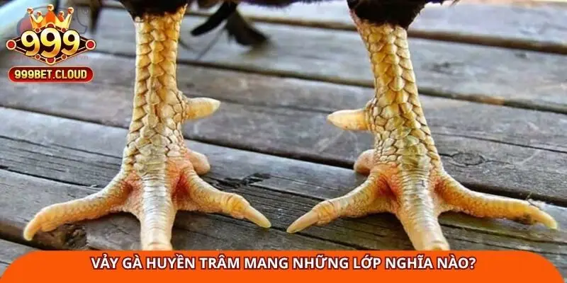 vay-ga-huyen-tram-mang-nhung-lop-nghia-nao