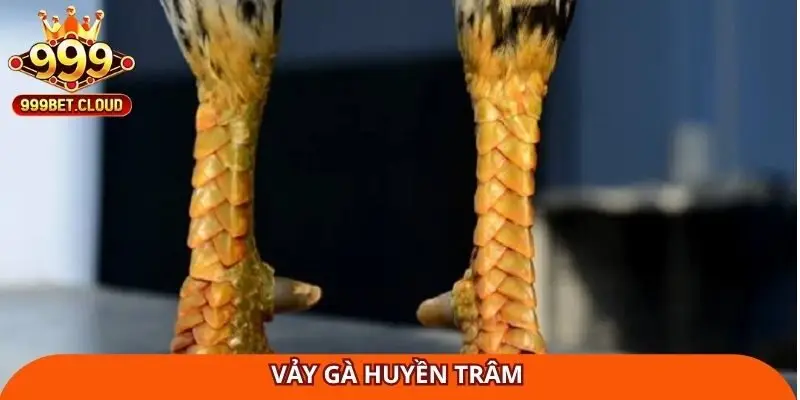 vay-ga-huyen-tram